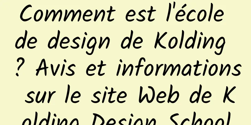 Comment est l'école de design de Kolding ? Avis et informations sur le site Web de Kolding Design School