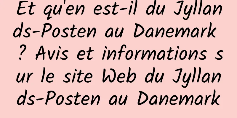 Et qu'en est-il du Jyllands-Posten au Danemark ? Avis et informations sur le site Web du Jyllands-Posten au Danemark