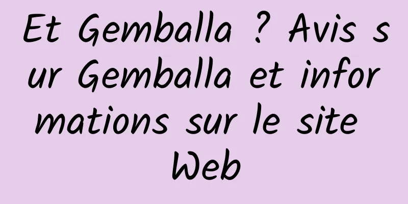 Et Gemballa ? Avis sur Gemballa et informations sur le site Web