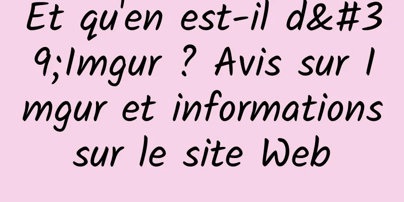 Et qu'en est-il d'Imgur ? Avis sur Imgur et informations sur le site Web 