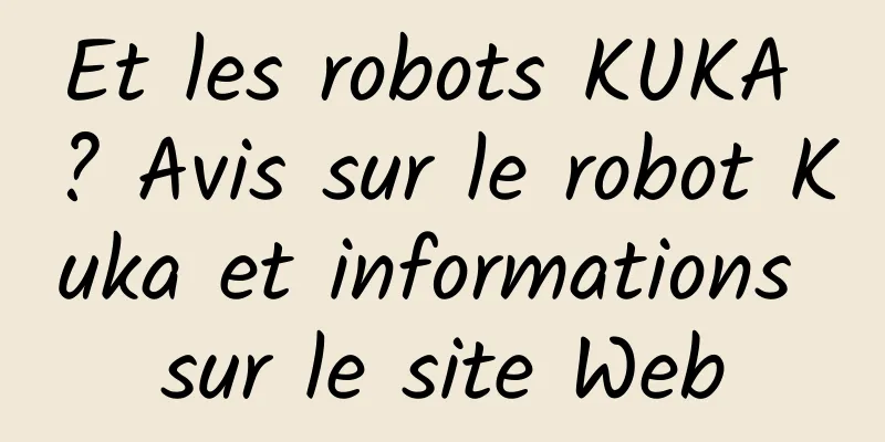 Et les robots KUKA ? Avis sur le robot Kuka et informations sur le site Web