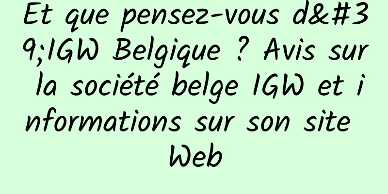 Et que pensez-vous d'IGW Belgique ? Avis sur la société belge IGW et informations sur son site Web