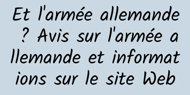 Et l'armée allemande ? Avis sur l'armée allemande et informations sur le site Web