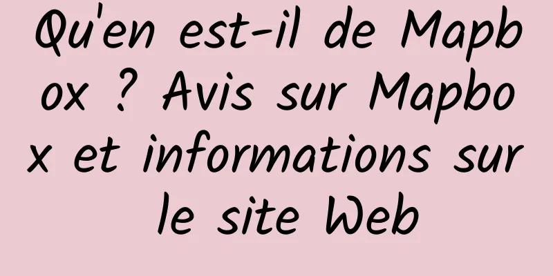 Qu'en est-il de Mapbox ? Avis sur Mapbox et informations sur le site Web