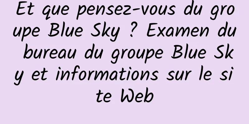 Et que pensez-vous du groupe Blue Sky ? Examen du bureau du groupe Blue Sky et informations sur le site Web