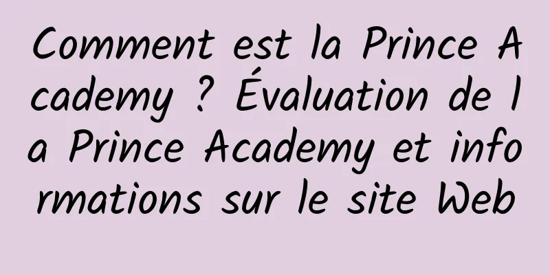 Comment est la Prince Academy ? Évaluation de la Prince Academy et informations sur le site Web
