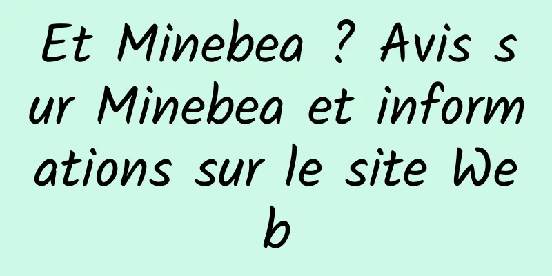 Et Minebea ? Avis sur Minebea et informations sur le site Web