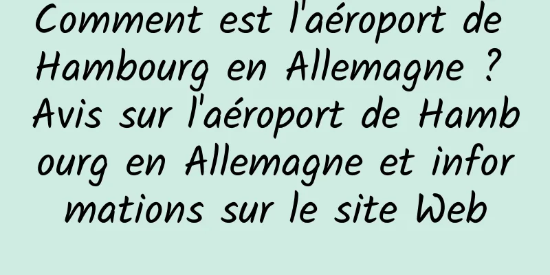 Comment est l'aéroport de Hambourg en Allemagne ? Avis sur l'aéroport de Hambourg en Allemagne et informations sur le site Web