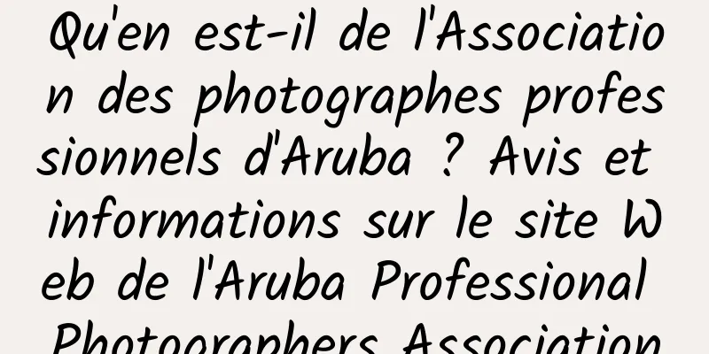 Qu'en est-il de l'Association des photographes professionnels d'Aruba ? Avis et informations sur le site Web de l'Aruba Professional Photographers Association