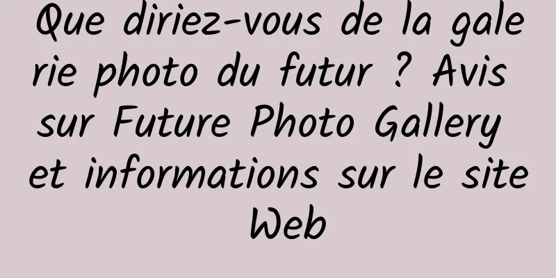Que diriez-vous de la galerie photo du futur ? Avis sur Future Photo Gallery et informations sur le site Web
