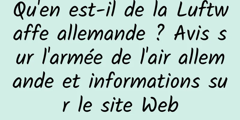 Qu'en est-il de la Luftwaffe allemande ? Avis sur l'armée de l'air allemande et informations sur le site Web