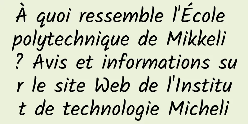 À quoi ressemble l'École polytechnique de Mikkeli ? Avis et informations sur le site Web de l'Institut de technologie Micheli