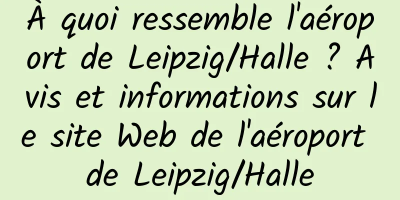 À quoi ressemble l'aéroport de Leipzig/Halle ? Avis et informations sur le site Web de l'aéroport de Leipzig/Halle