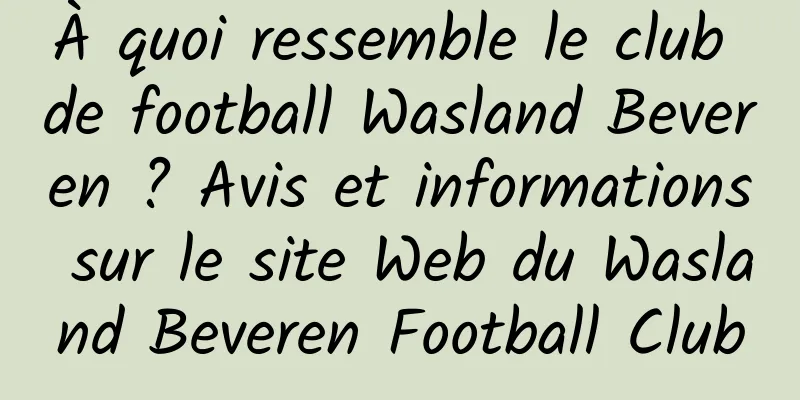 À quoi ressemble le club de football Wasland Beveren ? Avis et informations sur le site Web du Wasland Beveren Football Club