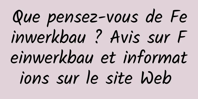 Que pensez-vous de Feinwerkbau ? Avis sur Feinwerkbau et informations sur le site Web 