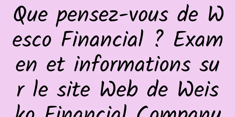 Que pensez-vous de Wesco Financial ? Examen et informations sur le site Web de Weisko Financial Company