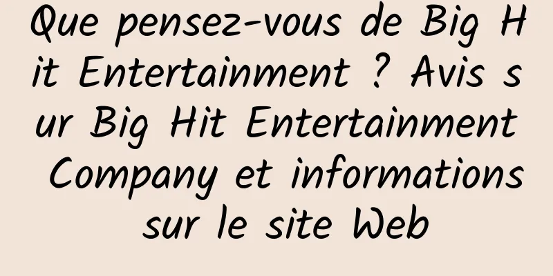 Que pensez-vous de Big Hit Entertainment ? Avis sur Big Hit Entertainment Company et informations sur le site Web