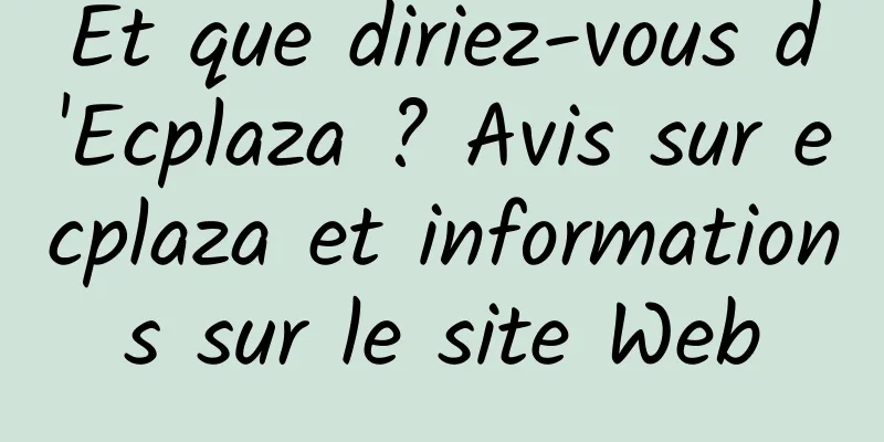 Et que diriez-vous d'Ecplaza ? Avis sur ecplaza et informations sur le site Web