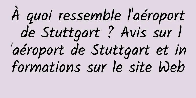 À quoi ressemble l'aéroport de Stuttgart ? Avis sur l'aéroport de Stuttgart et informations sur le site Web
