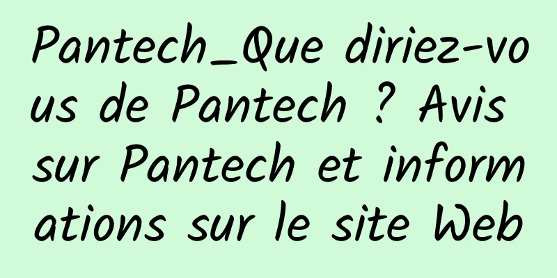 Pantech_Que diriez-vous de Pantech ? Avis sur Pantech et informations sur le site Web