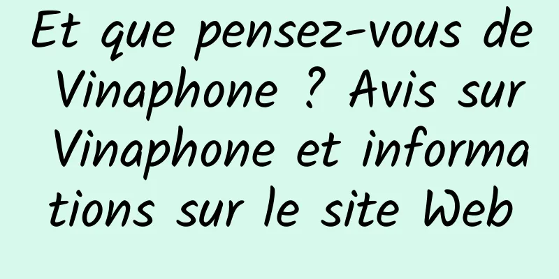 Et que pensez-vous de Vinaphone ? Avis sur Vinaphone et informations sur le site Web