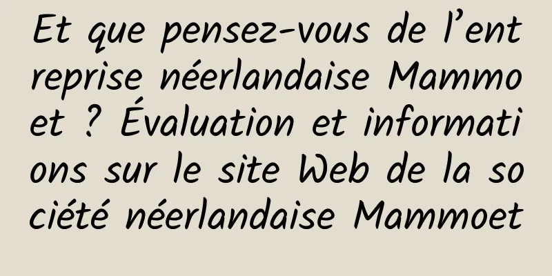 Et que pensez-vous de l’entreprise néerlandaise Mammoet ? Évaluation et informations sur le site Web de la société néerlandaise Mammoet