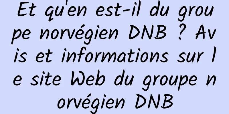 Et qu'en est-il du groupe norvégien DNB ? Avis et informations sur le site Web du groupe norvégien DNB