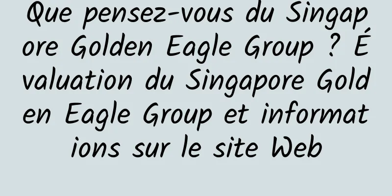 Que pensez-vous du Singapore Golden Eagle Group ? Évaluation du Singapore Golden Eagle Group et informations sur le site Web