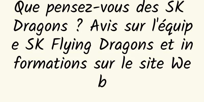 Que pensez-vous des SK Dragons ? Avis sur l'équipe SK Flying Dragons et informations sur le site Web