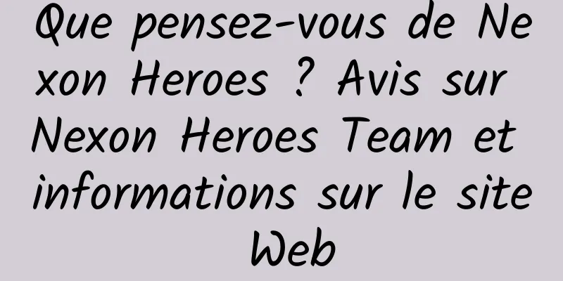 Que pensez-vous de Nexon Heroes ? Avis sur Nexon Heroes Team et informations sur le site Web