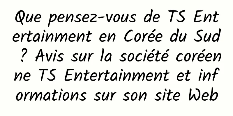 Que pensez-vous de TS Entertainment en Corée du Sud ? Avis sur la société coréenne TS Entertainment et informations sur son site Web