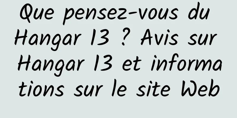 Que pensez-vous du Hangar 13 ? Avis sur Hangar 13 et informations sur le site Web