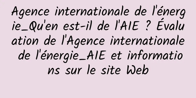 Agence internationale de l'énergie_Qu'en est-il de l'AIE ? Évaluation de l'Agence internationale de l'énergie_AIE et informations sur le site Web