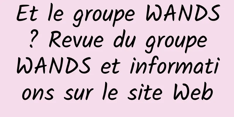 Et le groupe WANDS ? Revue du groupe WANDS et informations sur le site Web