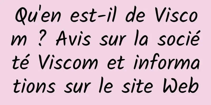 Qu'en est-il de Viscom ? Avis sur la société Viscom et informations sur le site Web