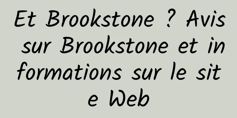 Et Brookstone ? Avis sur Brookstone et informations sur le site Web