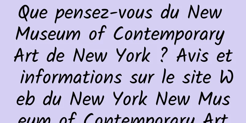 Que pensez-vous du New Museum of Contemporary Art de New York ? Avis et informations sur le site Web du New York New Museum of Contemporary Art