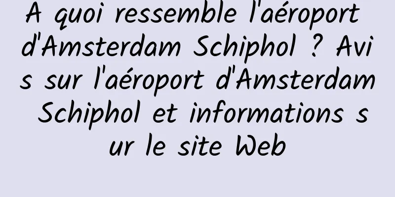 À quoi ressemble l'aéroport d'Amsterdam Schiphol ? Avis sur l'aéroport d'Amsterdam Schiphol et informations sur le site Web