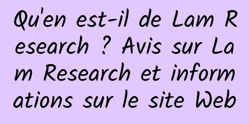 Qu'en est-il de Lam Research ? Avis sur Lam Research et informations sur le site Web