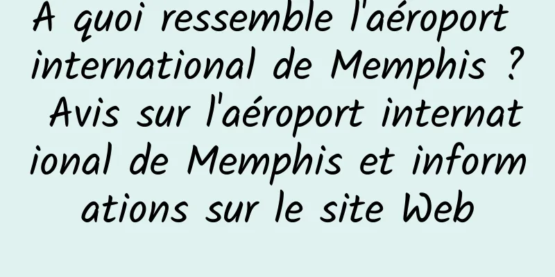 À quoi ressemble l'aéroport international de Memphis ? Avis sur l'aéroport international de Memphis et informations sur le site Web