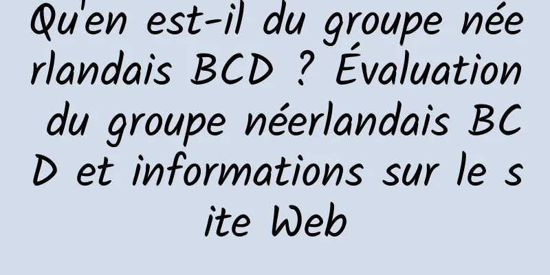 Qu'en est-il du groupe néerlandais BCD ? Évaluation du groupe néerlandais BCD et informations sur le site Web