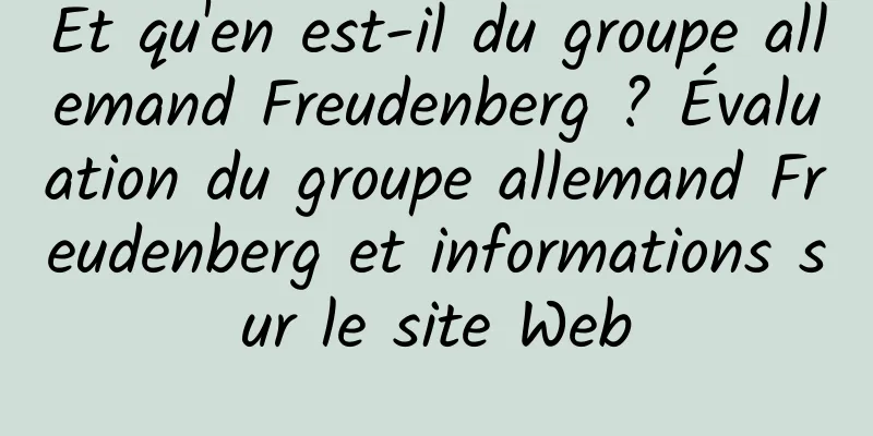 Et qu'en est-il du groupe allemand Freudenberg ? Évaluation du groupe allemand Freudenberg et informations sur le site Web
