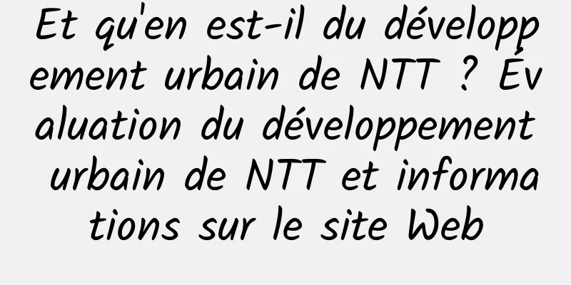 Et qu'en est-il du développement urbain de NTT ? Évaluation du développement urbain de NTT et informations sur le site Web