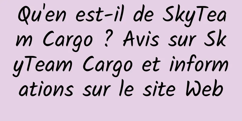Qu'en est-il de SkyTeam Cargo ? Avis sur SkyTeam Cargo et informations sur le site Web