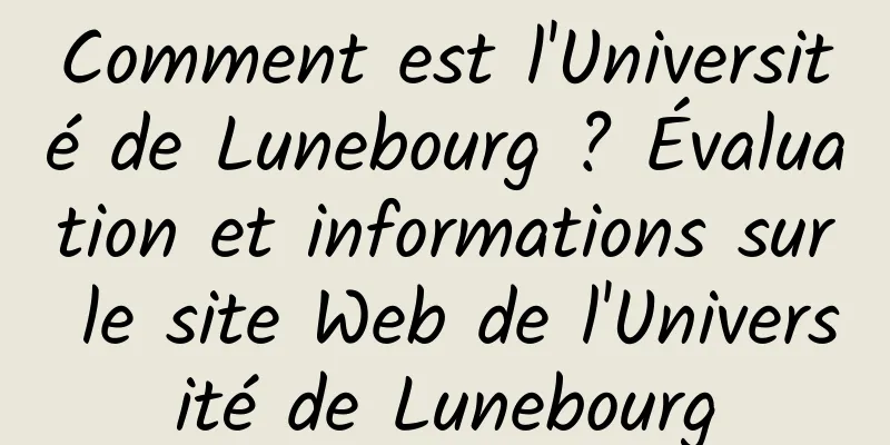 Comment est l'Université de Lunebourg ? Évaluation et informations sur le site Web de l'Université de Lunebourg