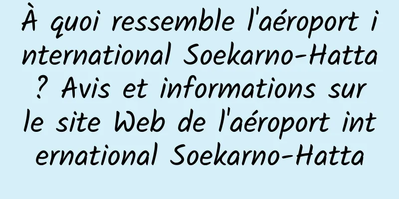 À quoi ressemble l'aéroport international Soekarno-Hatta ? Avis et informations sur le site Web de l'aéroport international Soekarno-Hatta