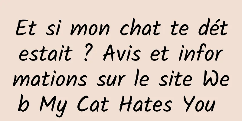 Et si mon chat te détestait ? Avis et informations sur le site Web My Cat Hates You 