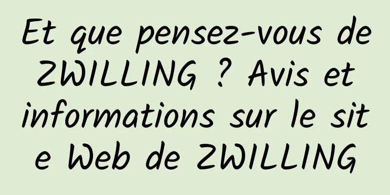 Et que pensez-vous de ZWILLING ? Avis et informations sur le site Web de ZWILLING
