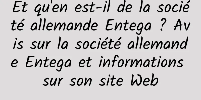 Et qu'en est-il de la société allemande Entega ? Avis sur la société allemande Entega et informations sur son site Web