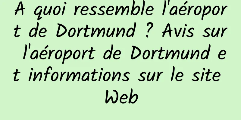 À quoi ressemble l'aéroport de Dortmund ? Avis sur l'aéroport de Dortmund et informations sur le site Web